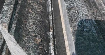 德州英国棕别墅线条