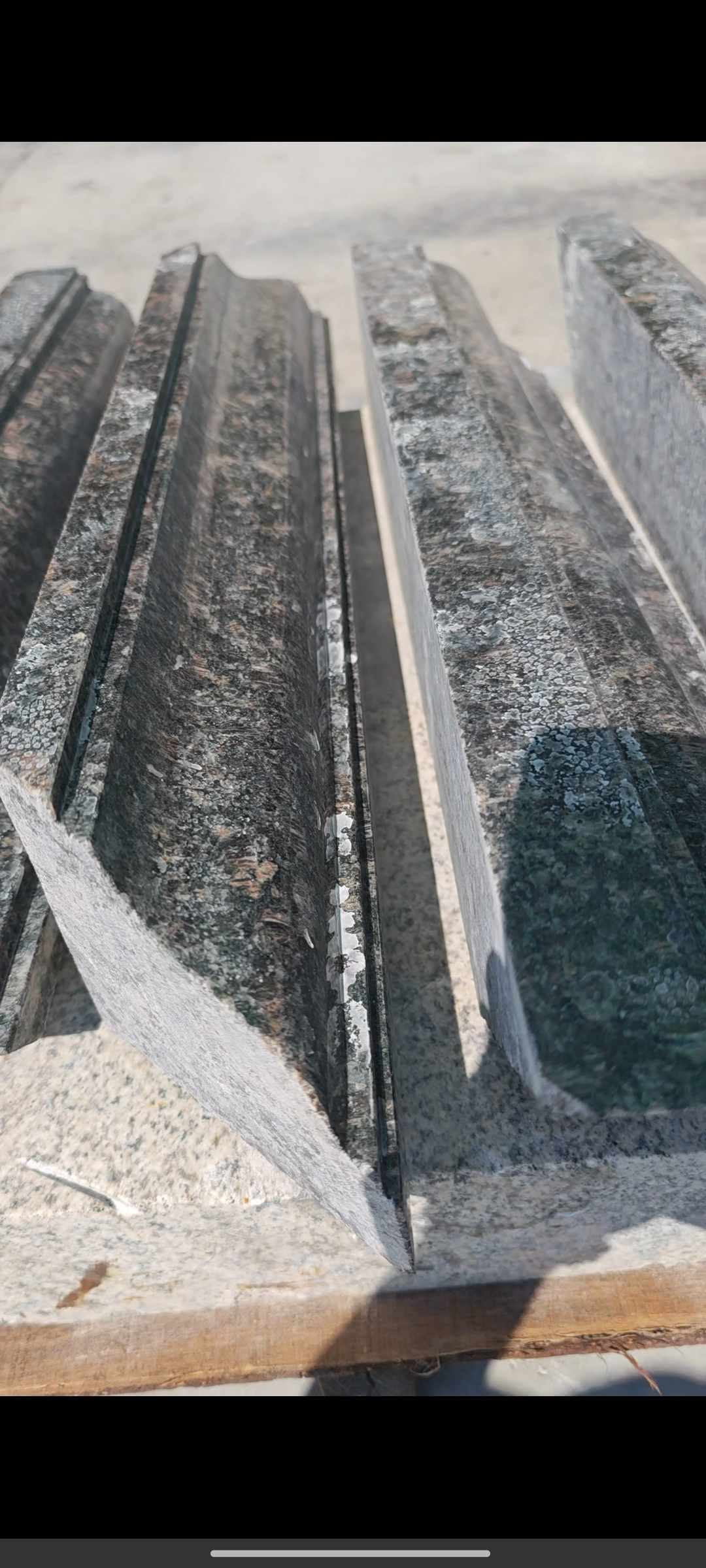 德州英国棕别墅线条